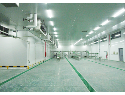 河北13500立方米進(jìn)口牛定點屠宰加工冷庫規(guī)劃項目