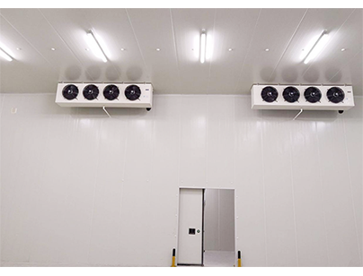 上海浦東新區(qū)12000平方米冷庫出租低溫冷藏冷凍庫運(yùn)營(yíng)招商