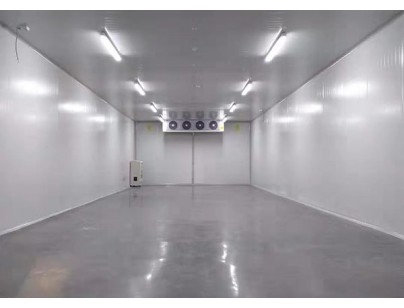 山東魯抗醫(yī)藥集團32500㎡藥品恒溫冷庫建造施工