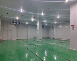 工業(yè)防爆冷庫(kù)生產(chǎn)廠家