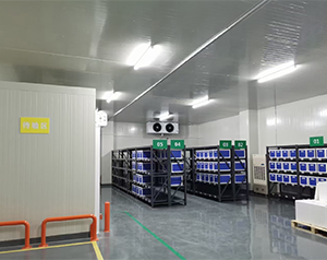 gsp體外診斷試劑批發(fā)企業(yè)設(shè)置的冷庫容積不少于多少立方米?