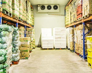 5000噸的果蔬保鮮庫(kù)的占地面積以及冷庫(kù)投入資金？