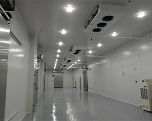 醫(yī)藥物流冷凍庫,檢驗科試劑冷庫建設(shè)要求標(biāo)準(zhǔn)