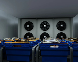 安裝10000平生鮮電商冷庫有哪些因素會影響投資預(yù)算？