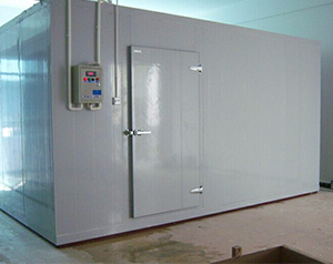 2000平方米低溫各類菌苗、疫苗生物制藥冷庫建設標準?