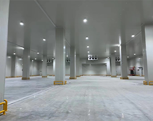 600平多溫醫(yī)藥冷庫(kù)一平米安裝價(jià)格是多少?