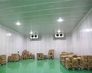 4500㎡藥品冷鏈物流冷庫設(shè)計(jì)方案，冷庫預(yù)算多少錢