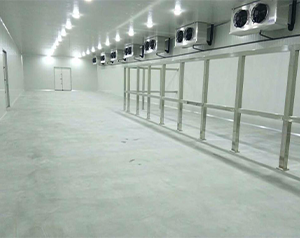 500平速凍冷庫(kù)建造要多少錢