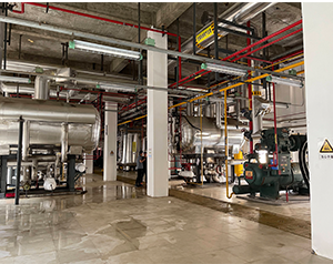 低溫冷庫自動化設計規(guī)范