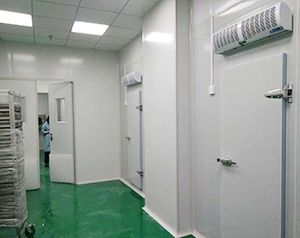 凈化冷庫(kù)工程造價(jià)標(biāo)準(zhǔn)規(guī)范，凈化車間冷庫(kù)溫度要求