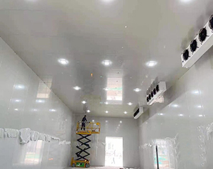 菜市場冷庫安裝費(fèi)用大概需要多少錢一平方米？