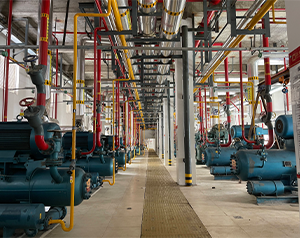 自動(dòng)化智能大型冷庫設(shè)計(jì)方案范本