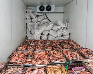 5000斤魚(yú)蝦冷凍庫(kù)保溫及設(shè)備安裝費(fèi)用是多少