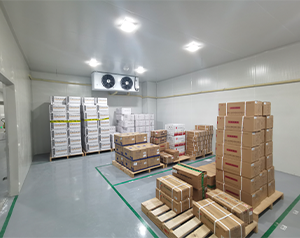 疾控中心50m³醫(yī)用低溫倉庫GSP認(rèn)證及建設(shè)標(biāo)準(zhǔn)