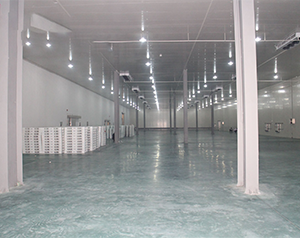 3000平米生鮮冷庫設(shè)計(jì)方案及造價