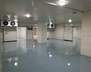 疫苗冷庫(kù)如何貯藏,疫苗冷庫(kù)造價(jià)是多少