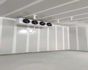 氣調(diào)庫儲(chǔ)藏辣椒應(yīng)該如何進(jìn)行保鮮?