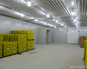 100噸蔬菜保鮮庫報價需要多少錢?