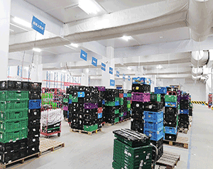 100噸冷庫(kù)造價(jià)大概多少錢(qián)？