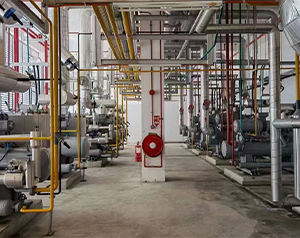 冷庫自動(dòng)化霜大概需要多少錢