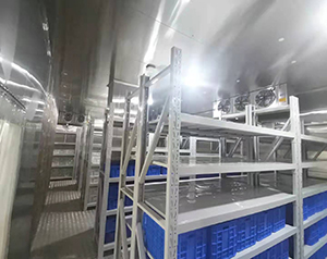 超低溫冷庫制作廠家_提供可靠、高效的冷藏解決方案