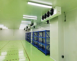 生物制藥工廠倉儲(chǔ)中心冷庫