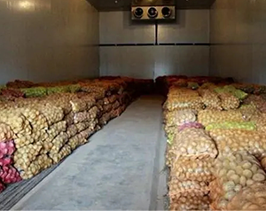 安徽小型食品冷庫(kù)造價(jià)多少錢一噸?