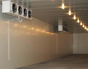 裝配式冷庫(kù)設(shè)計(jì)多少錢(qián)一平米