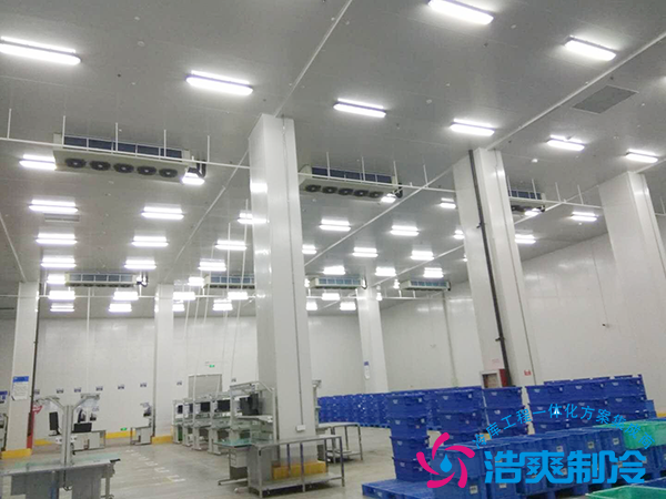 在浙江建造一個(gè)水產(chǎn)海鮮冷庫造價(jià)成本需要投資多少錢？