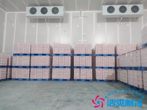 水果氣調(diào)冷庫建造價格