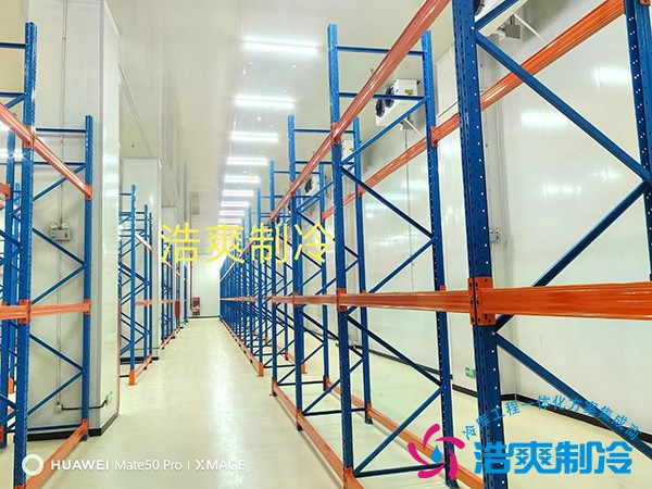 冷凍庫(kù)建造多少錢