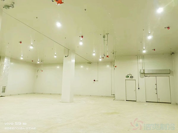 化工企業(yè)冷庫制冷系統(tǒng)設(shè)計依據(jù)什么規(guī)范？