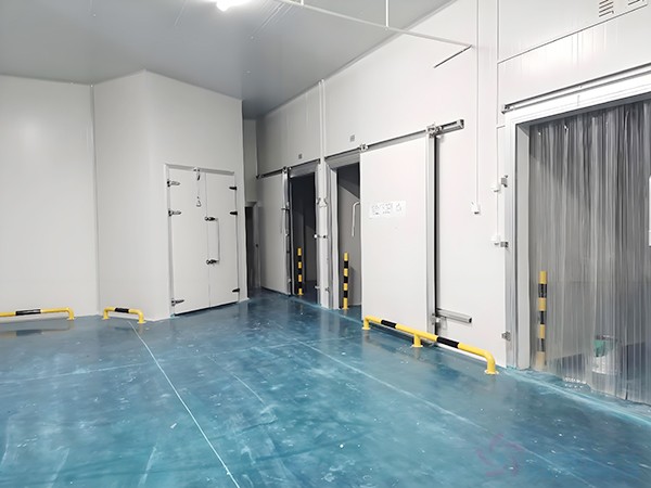 上海生物醫(yī)藥冷庫安裝造價多少錢？