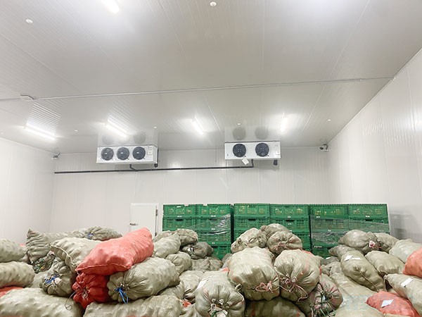 影響蔬菜保鮮冷庫建造價格的因素有哪些？