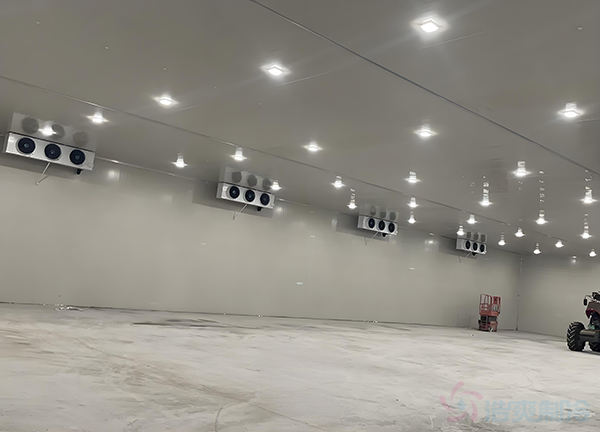 建造一個天然氣制冷冷庫造價成本大概多少錢