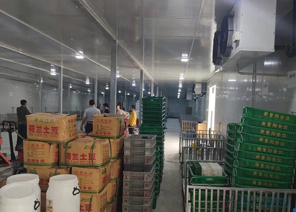 2000平米土豆冷庫竟要200多萬？揭秘氣調保鮮庫天價背后！