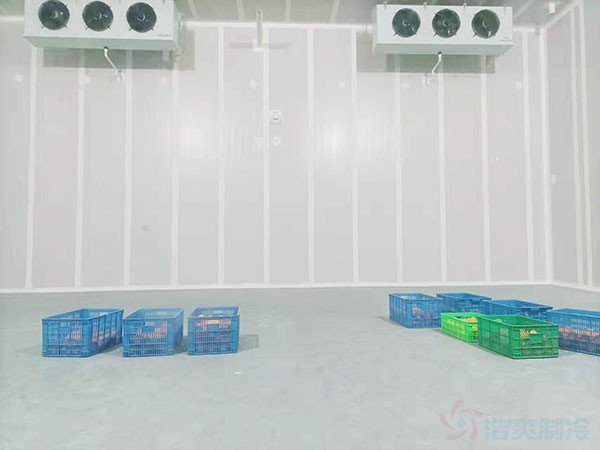 低溫板栗凍庫(kù)