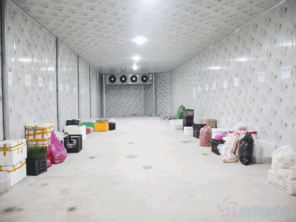 如何防止板栗在低溫凍庫(kù)中的發(fā)芽?