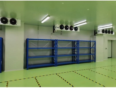 成都康諾亞一橋生物科技公司創(chuàng)新醫(yī)藥冷庫(kù)建設(shè)工程案例