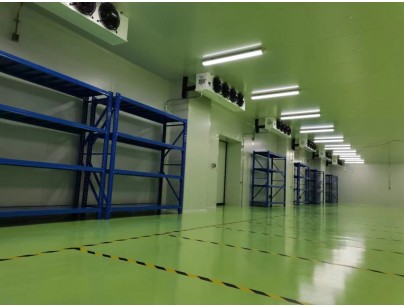 成都康諾亞一橋生物科技公司創(chuàng)新醫(yī)藥冷庫(kù)建設(shè)工程案例