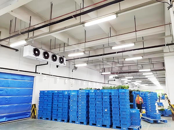 湖南冷庫建造補(bǔ)貼標(biāo)準(zhǔn)