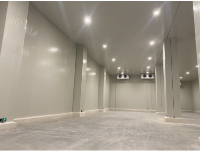 江蘇太倉遠(yuǎn)洋物流二氧化碳復(fù)疊系統(tǒng)冷庫建造工程案例