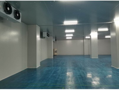 伊利乳業(yè)高標(biāo)準(zhǔn)乳制品加工冷鏈倉(cāng)儲(chǔ)冷庫建造工程案例