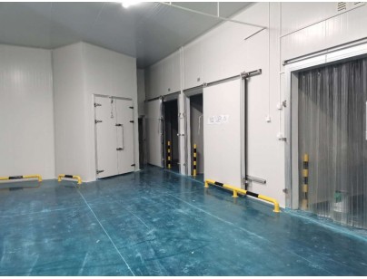 伊利乳業(yè)高標(biāo)準(zhǔn)乳制品加工冷鏈倉(cāng)儲(chǔ)冷庫建造工程案例