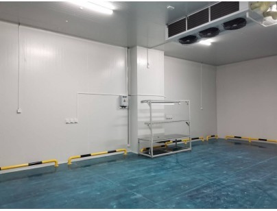 伊利乳業(yè)高標(biāo)準(zhǔn)乳制品加工冷鏈倉(cāng)儲(chǔ)冷庫建造工程案例