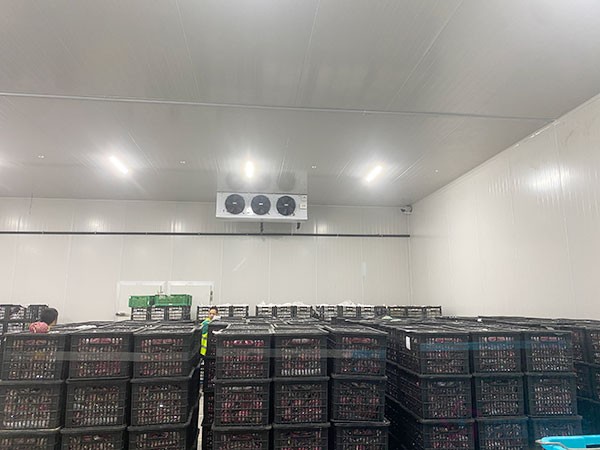 50噸蘋果冷庫建設(shè)