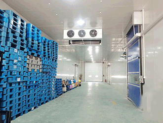 冷凍庫(kù)建造費(fèi)用指南：建冷凍庫(kù)多少錢(qián)一平方